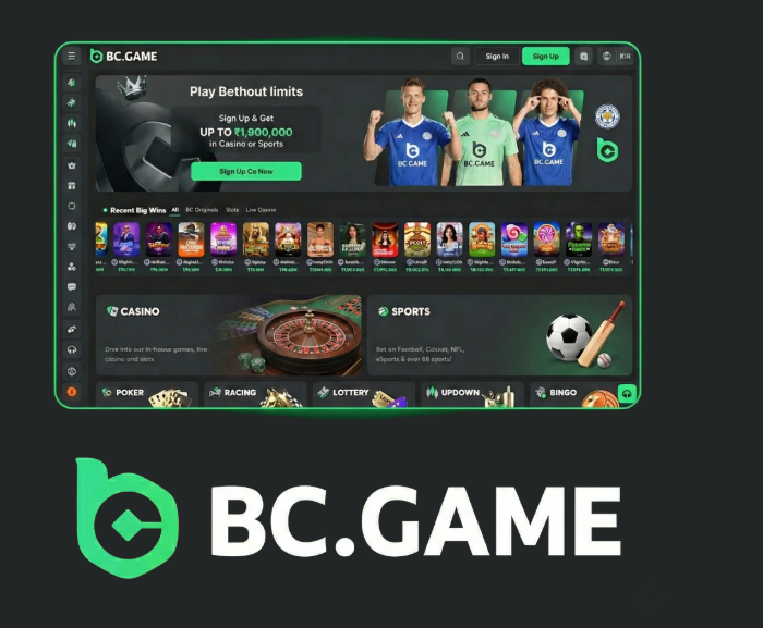 Resolving BCGame.vc Login Problems Your Complete Guide